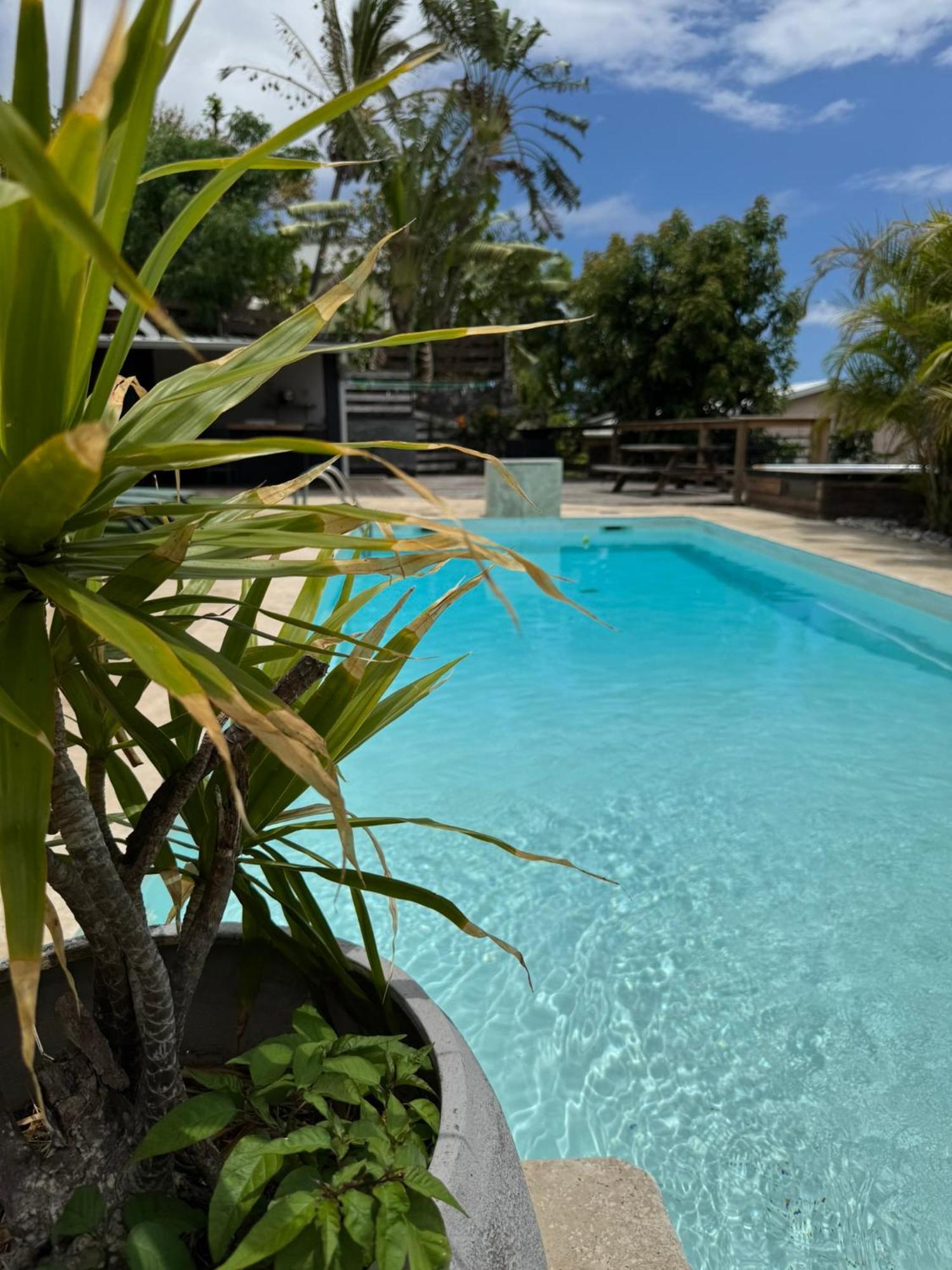 La Bananeraie Apt 35M2 Piscine Jardin Tropical Parking Prive Сен-Лё Экстерьер фото